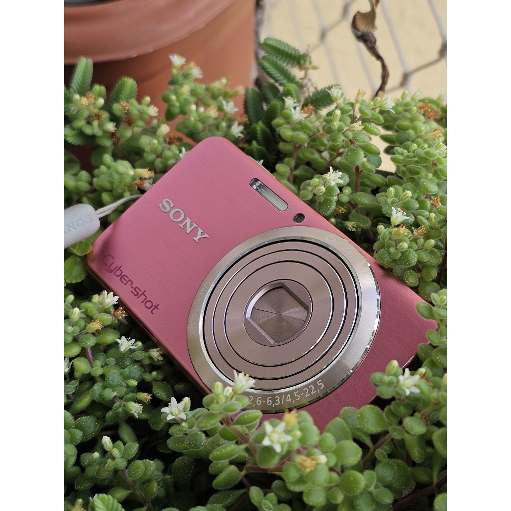 Camera Sony Cyber-Shot DSC-W630 Rosa - id59 | Shopee Brasil