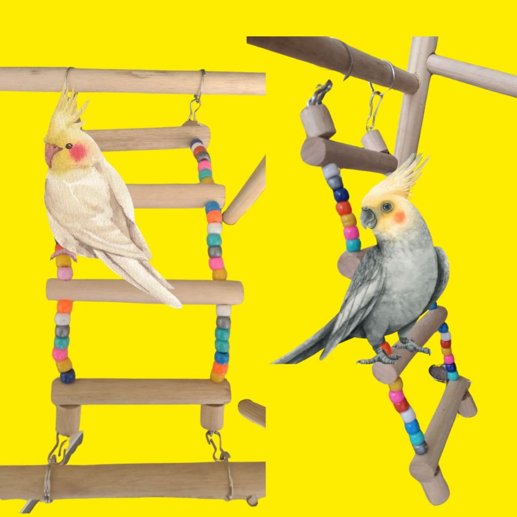 Brinquedos Para Calopsita Escadinha ou Ponte Para Gaiola Periquito Papagaio Rink Neq Canário Bird Pets