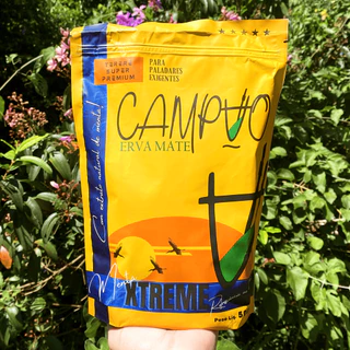 Erva Mate Para Terere Campão Sabor Menta Xtreme 500g