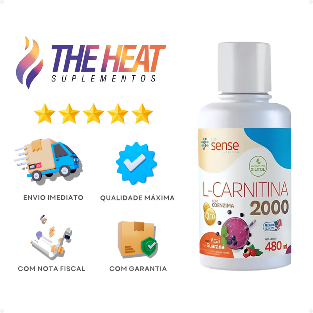 l carnitine for androgen receptors L-Carnitine supplementation