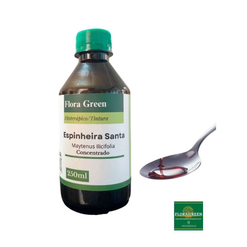 Espinheira Santa - 250ml - Gastrite - Azia - Flora Green | Shopee Brasil