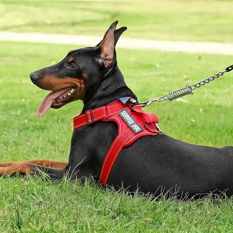 Peitoral Com Regulagem Coleira Refletiva Cachorro Porte Medio e Grande ...