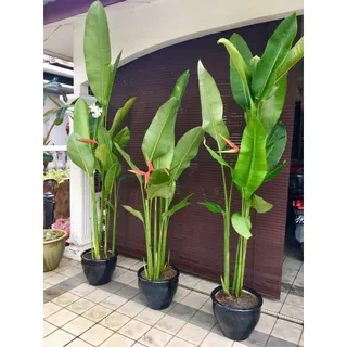 Vaso Fibra De Vidro Decorativo Caribe M 38,5cm
