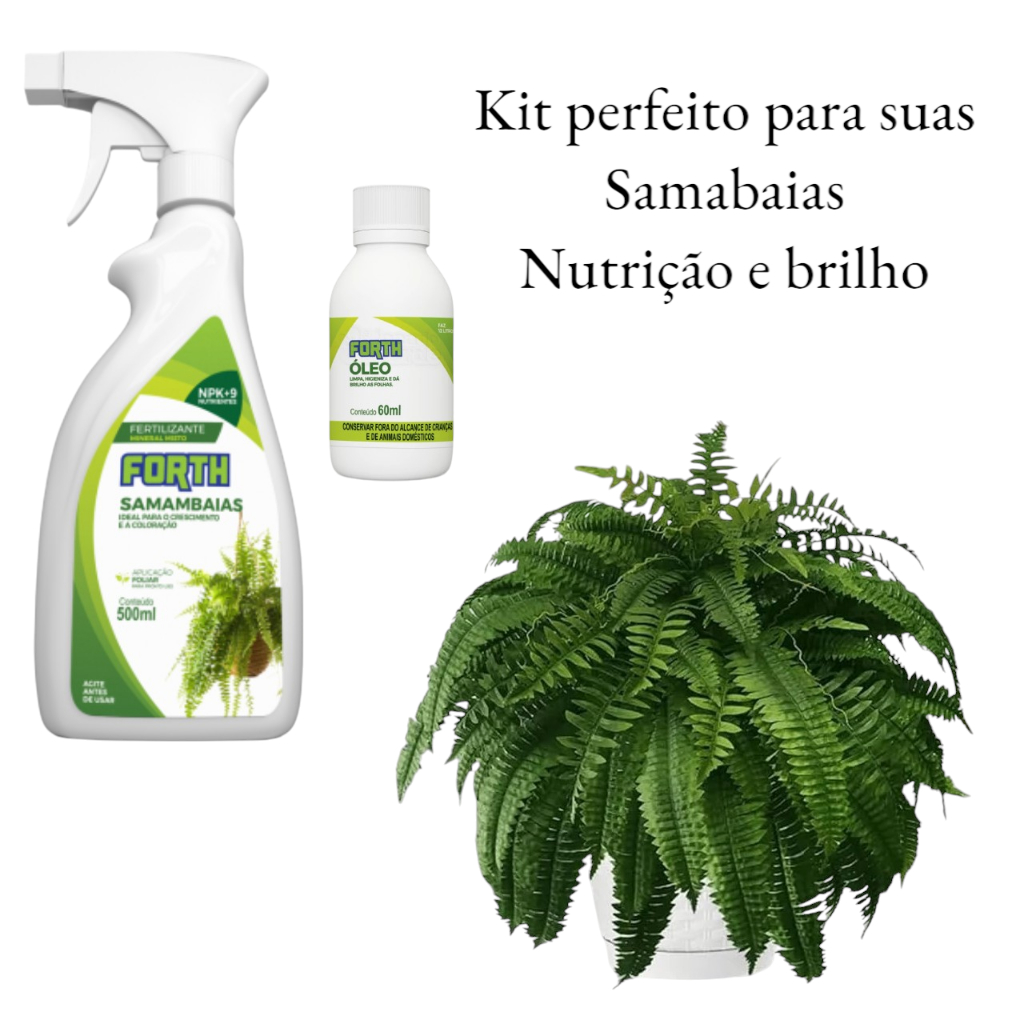 adubo fertilizante para samambaias + óleo embelezador nutrição e brilho ...