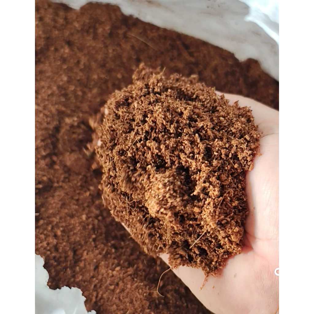 Fibra de Coco em Pó 20 litros Lavado Premium Natural Orgânico Rosa Deserto 4