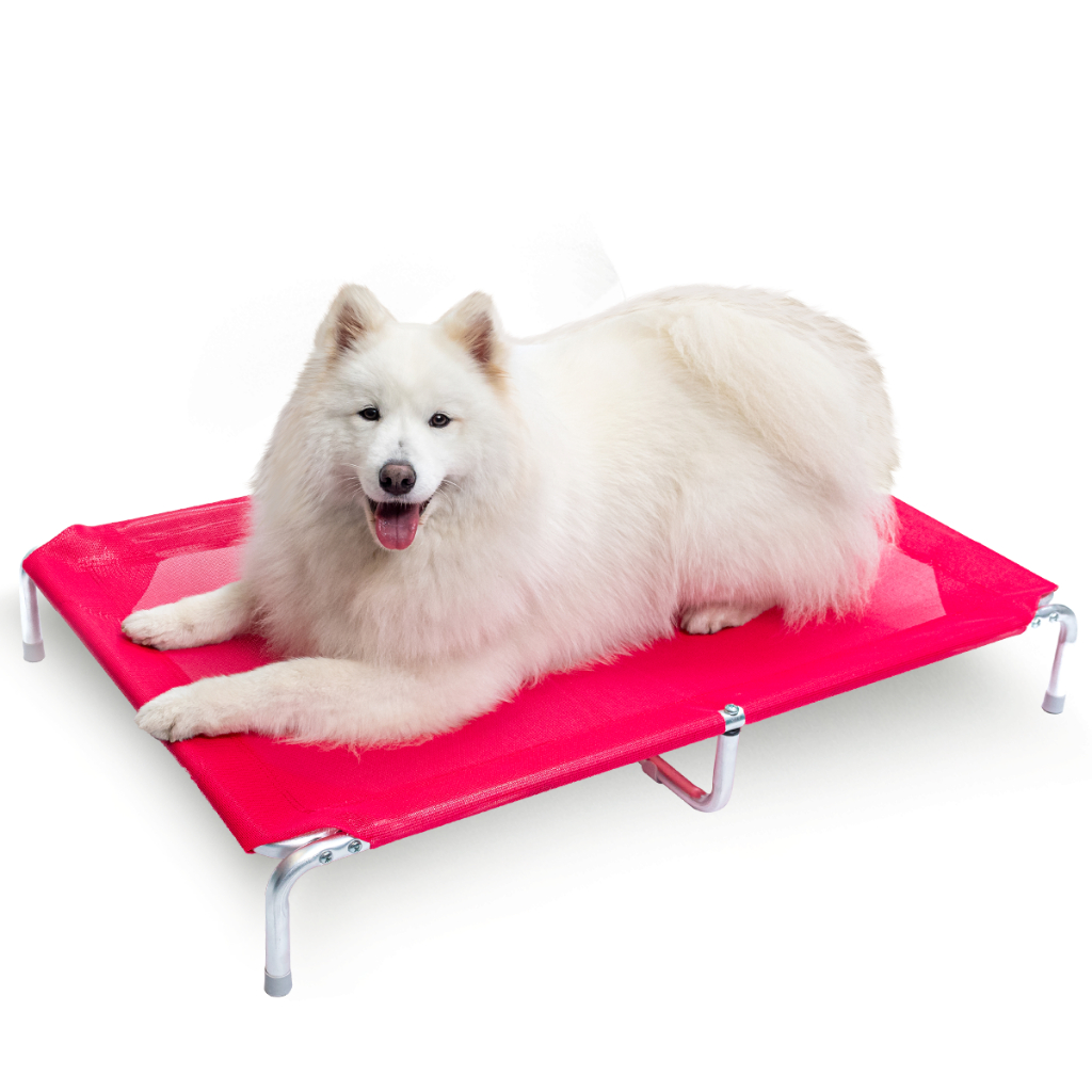 Cama Suspensa Elevada Pet para Cachorro Cães Lavavel Ortopedica Arejada ...