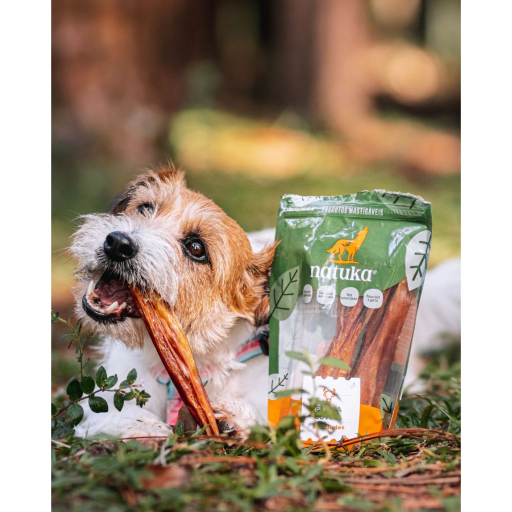 MORDEDOR NATURAL PARA CACHORRO- BEXIGA BOVIA- NATUKA PUFF | Shopee Brasil