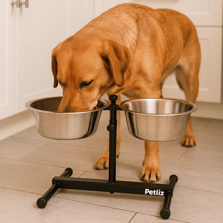 Comedouro Duplo para Cachorro e Gato