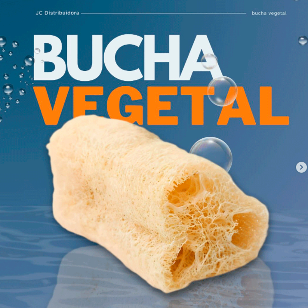 50 Esponja Bucha Vegetal Natural Banho Esfoliação Promoção | Shopee Brasil