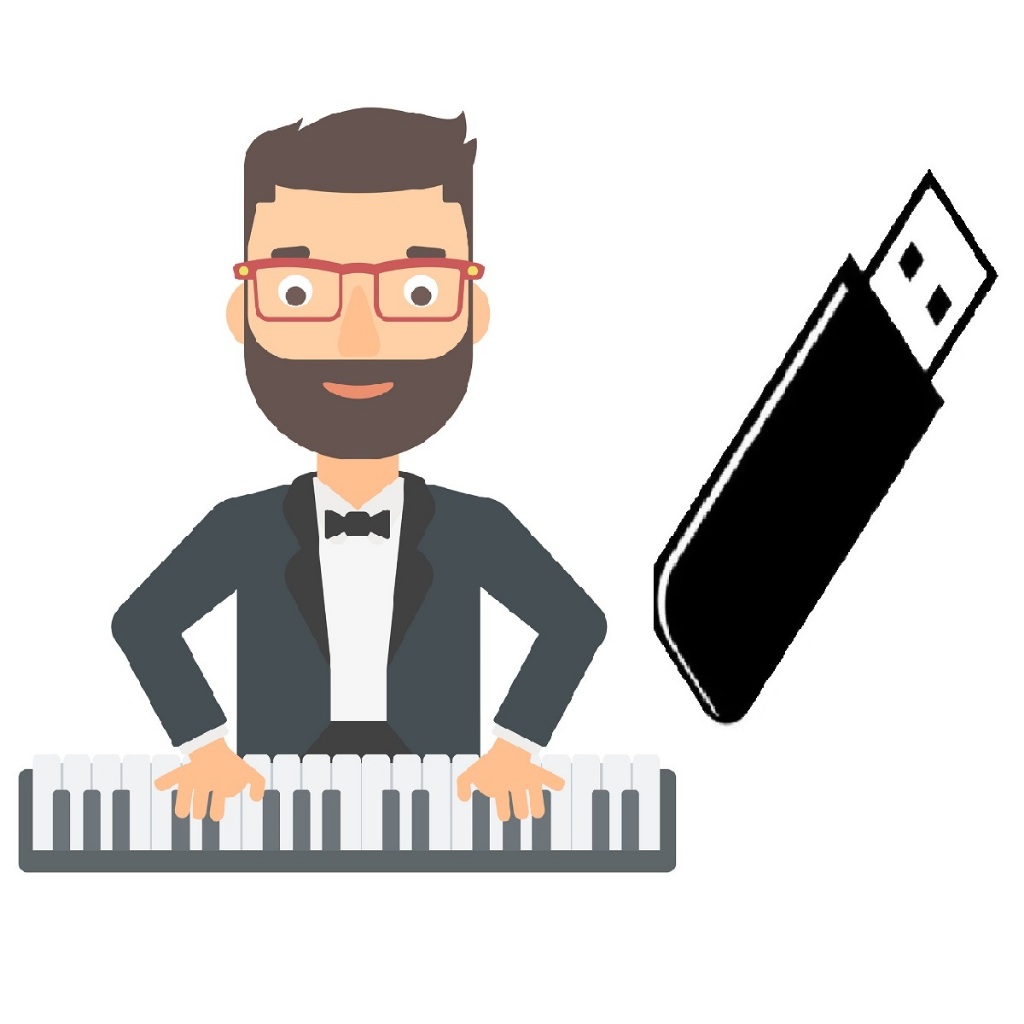 Pen Drive Ritmos Para Teclados Roland EX30 | Shopee Brasil
