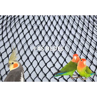 Kit Completo Rede De Proteção Calopsitas, Aves, Agapornis - Malha 2 CM
