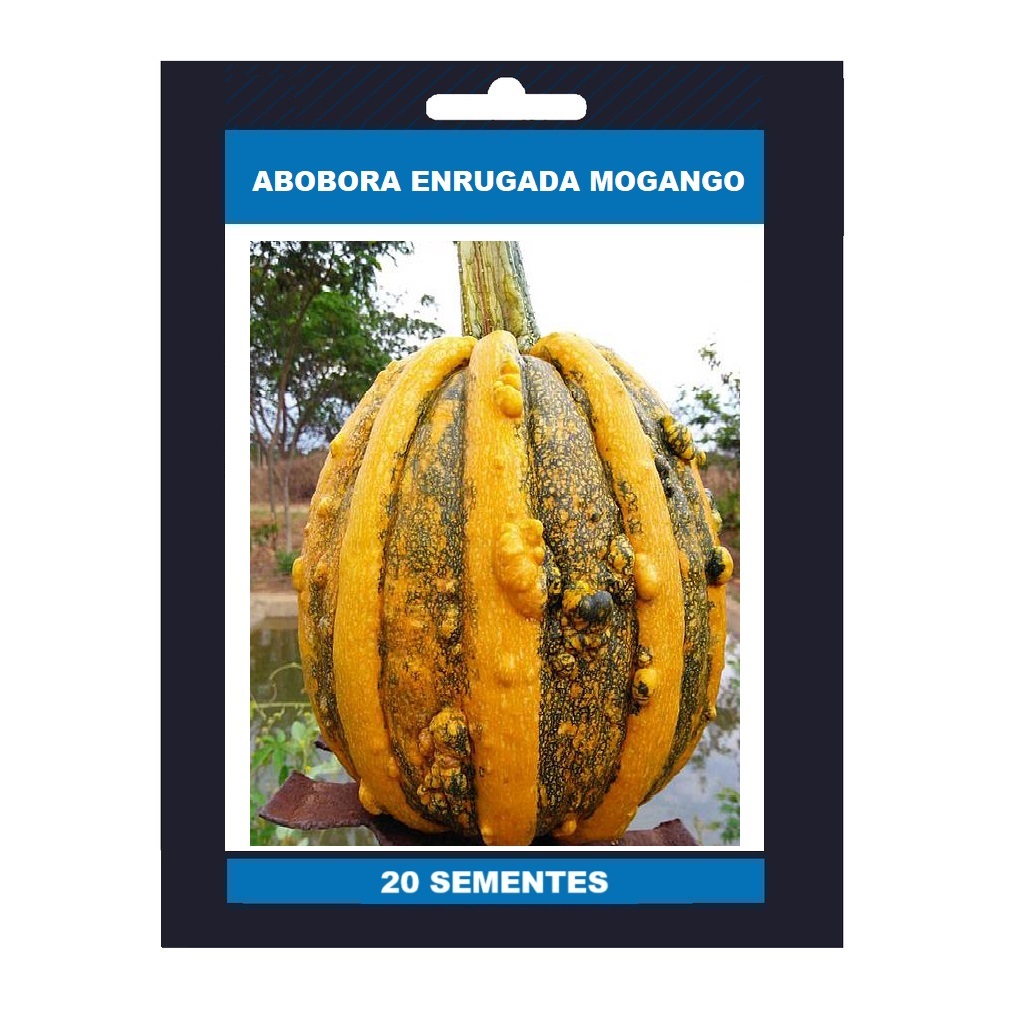 20 Sementes Abobora Enrugada Mogango | Shopee Brasil
