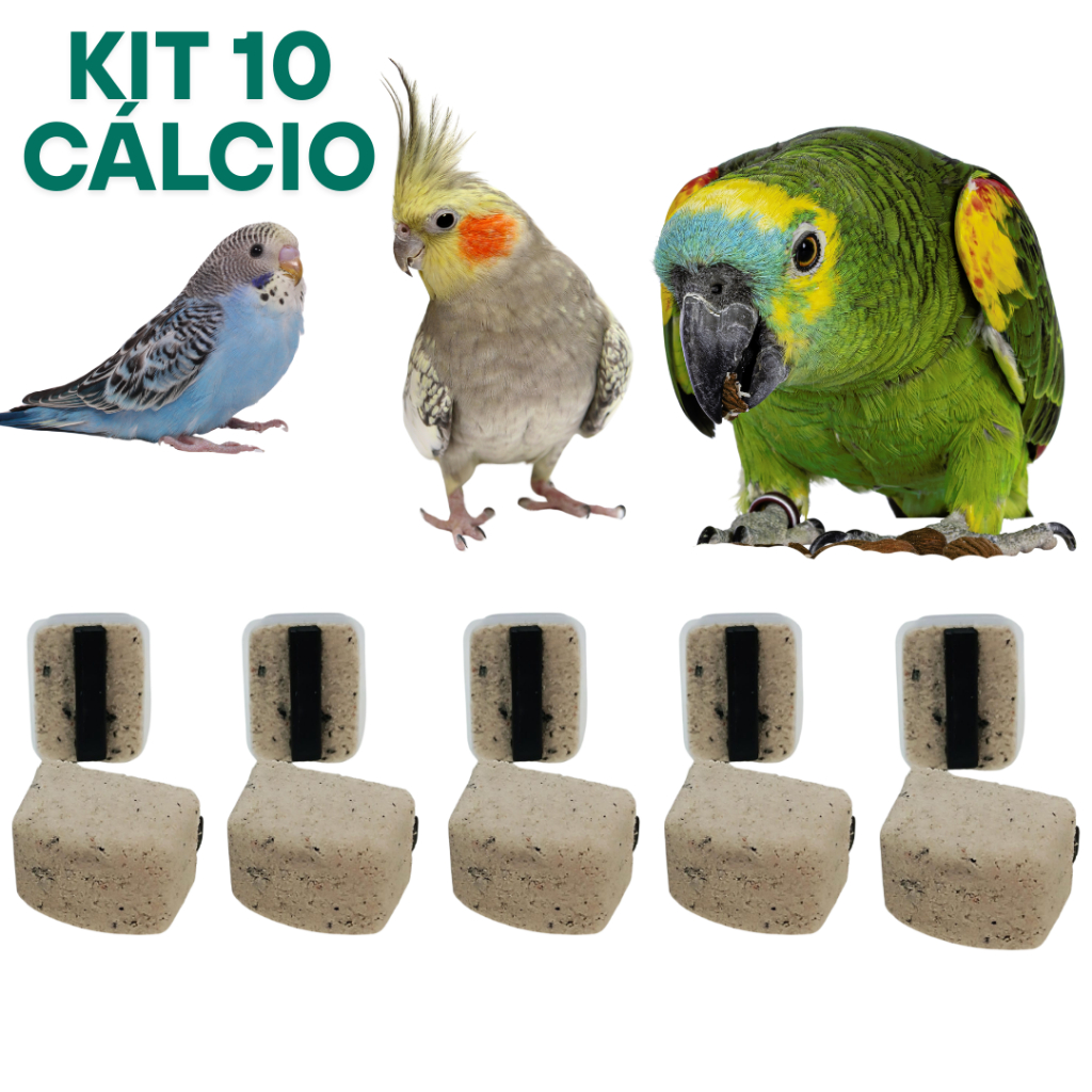 Pedra de Cálcio para Pássaros Kit pet Auxilia na Digestão e Estresse Calopsita, Periquito, Papagaio | Shopee Brasil