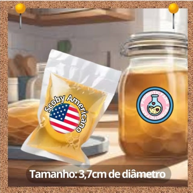 AMERICANO MINI SCOBY - TAM:3,7CM DE DIÂMETRO | Shopee Brasil