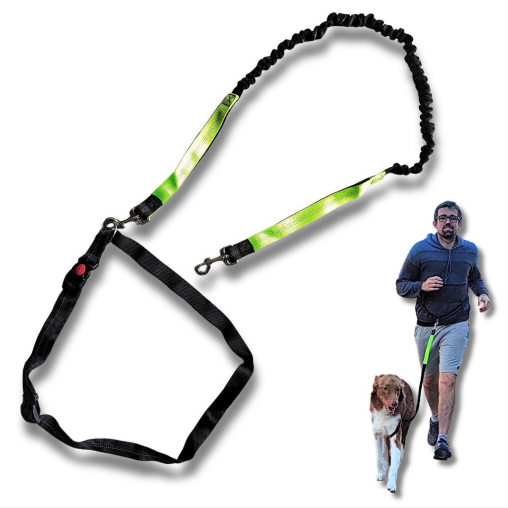 Guia Mãos Livres Cachorro Correr Cães Coleira 1,70 Metros | Shopee Brasil