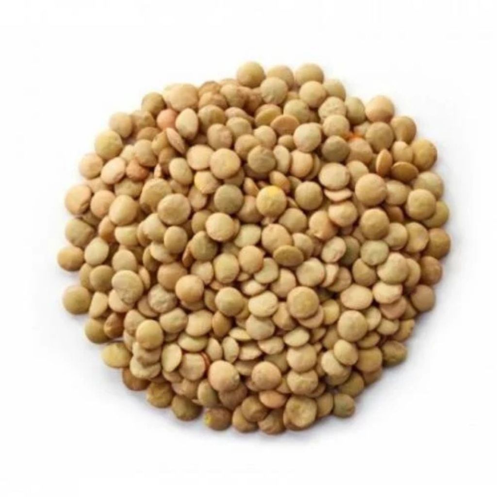 Lentilha Vermelha Canadense Premium 1kg - X Roots