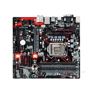 Prime B250m Plus: Onde Comprar | BuscaProdutos