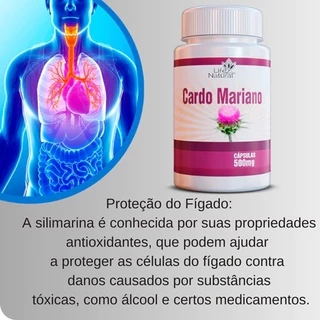 SILIMARINA 120 CÁPSULAS 500mg | CARDO MARIANO | O MAIS VENDIDO DO MERCADO em Oferta na Shopee