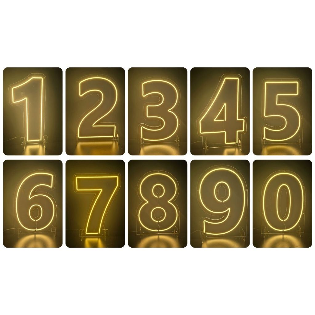 Painel LED Neon Números 0 a 9 Acrílico Cristal 50cm Altura - Base Para ...