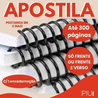 Impressão de Apostila em papel 90g e encadernação inclusa Imprima Frente e verso ou Só Frente / Até 300 páginas