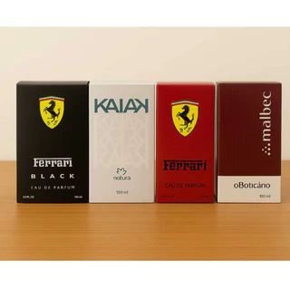 Kit 4 Perfumes Masculinos 100ml cada os queridinhis