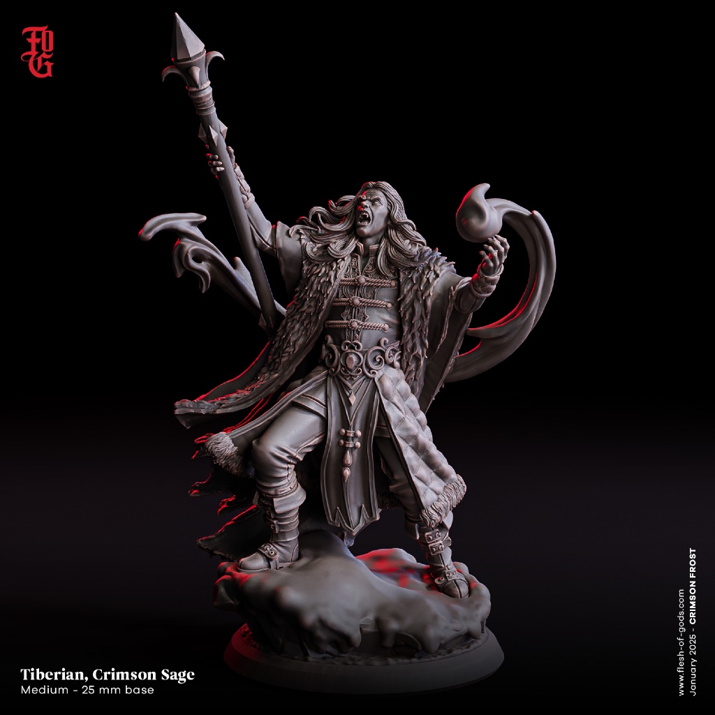 Miniaturas Crimson Frost para Zombicide, RPG, D&D (FG12) | Shopee