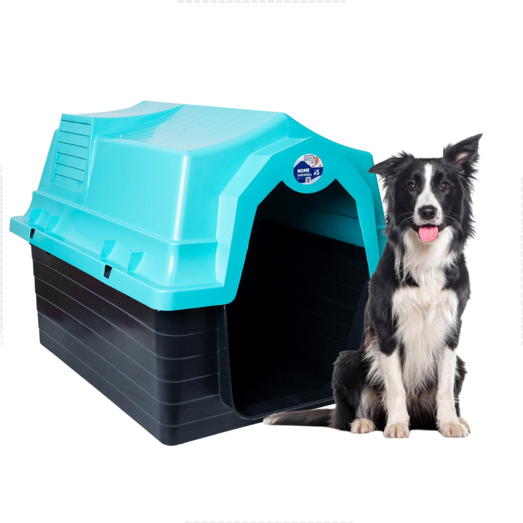 Casinha de Cachorro Grande Porte N5 Azul Claro Casa Pet Com Proteção ...