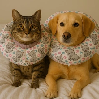 Colar Elizabetano Confortável para Gatos e Cães