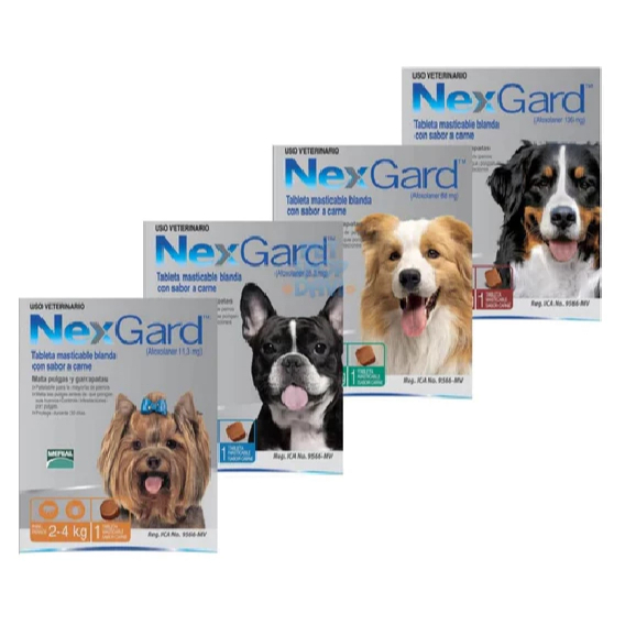 Kit 3 Nexgard todos os tamanhos disponiveis selecionar o ideal para seu ...
