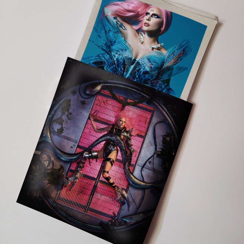 Kit 15 Fotos Lady Gaga Álbuns Diversos | Shopee Brasil