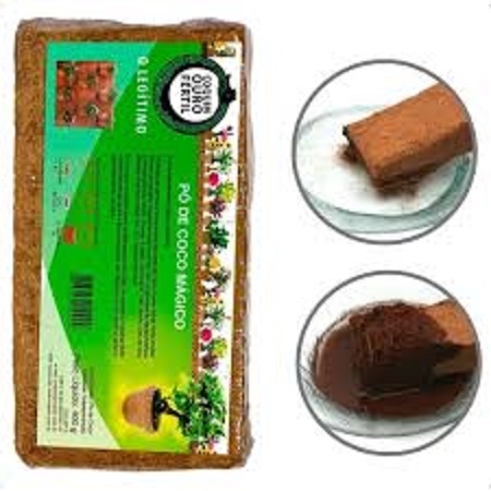 substrato de coco aplicação em suculentas