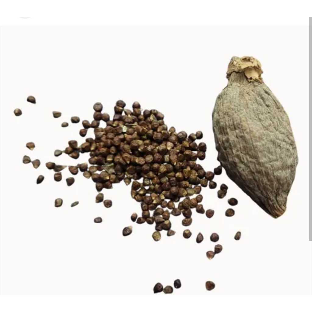 KIT C/10 ATARÉ AFRICANO - PIMENTA DA COSTA | Shopee Brasil