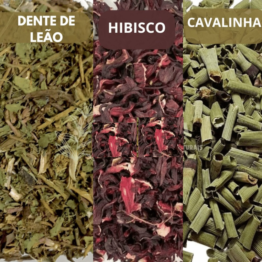 Kit Chá - Cavalinha - Hibisco e Dente de leão 500g de cada item ...