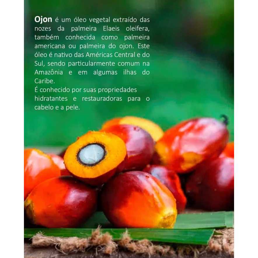 Óleo Capilar Keratex Ojon & Coco 60ML - 06 unidades | Shopee Brasil