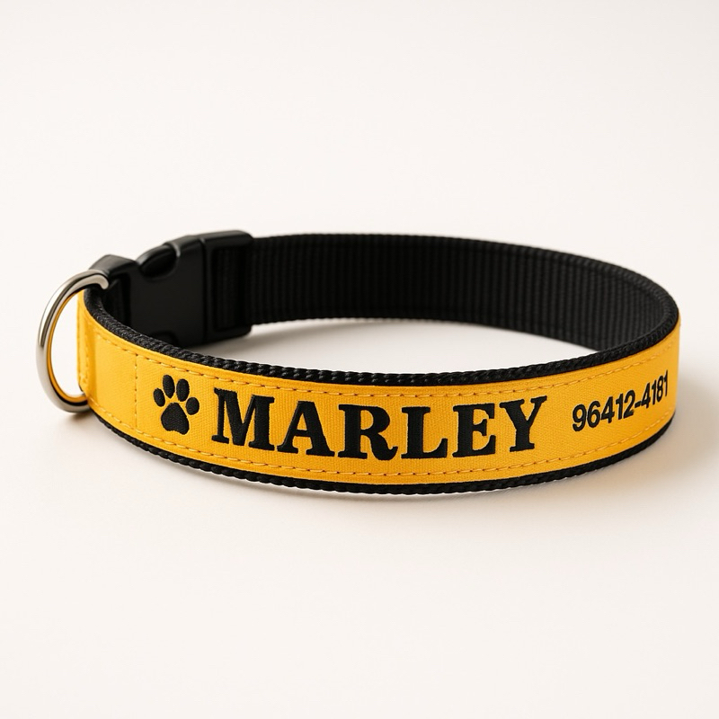 Coleira para cachorro com nome/ cachorro identificação pet/colar personalizado nome e telefone caes