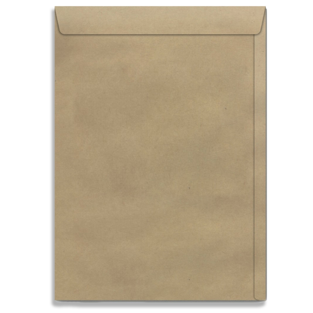 Envelope A3 Grande Pardo 31x41cm 10 50 100 | Shopee Brasil