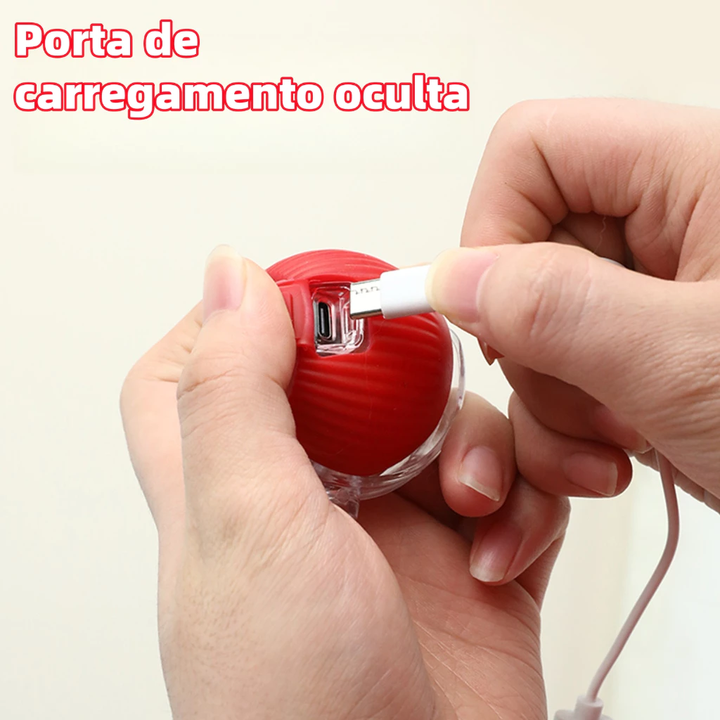 Bola com Petisco para Cachorro - Pool de Ofertas