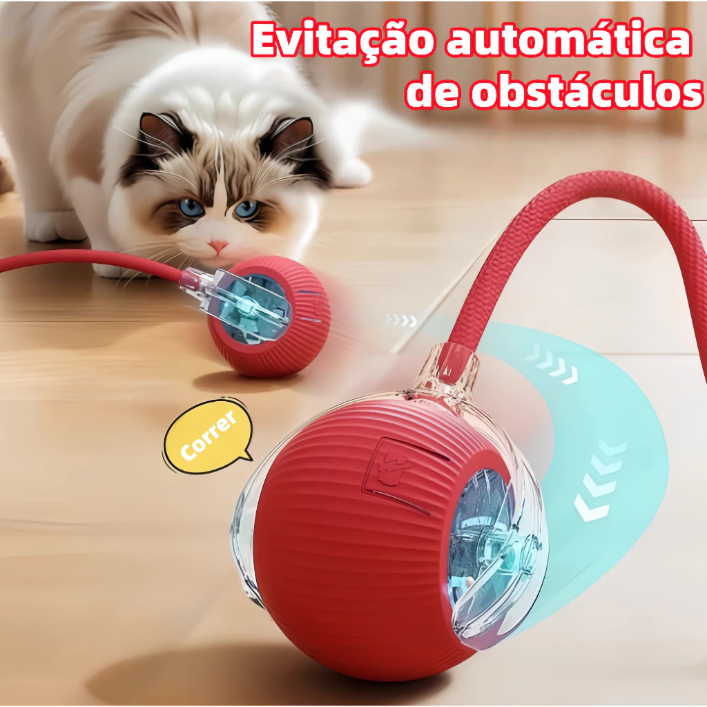 Brinquedo Interativo para Cães - Pool de Ofertas
