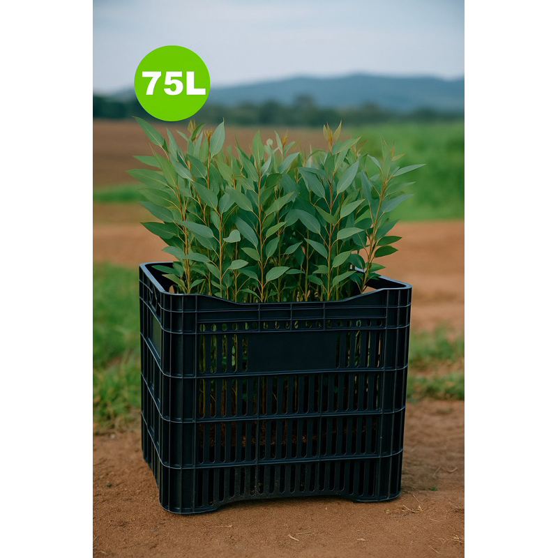 1 X Caixa Agrícola P/ Mudas Grande Reforçada Preta 56x36x47