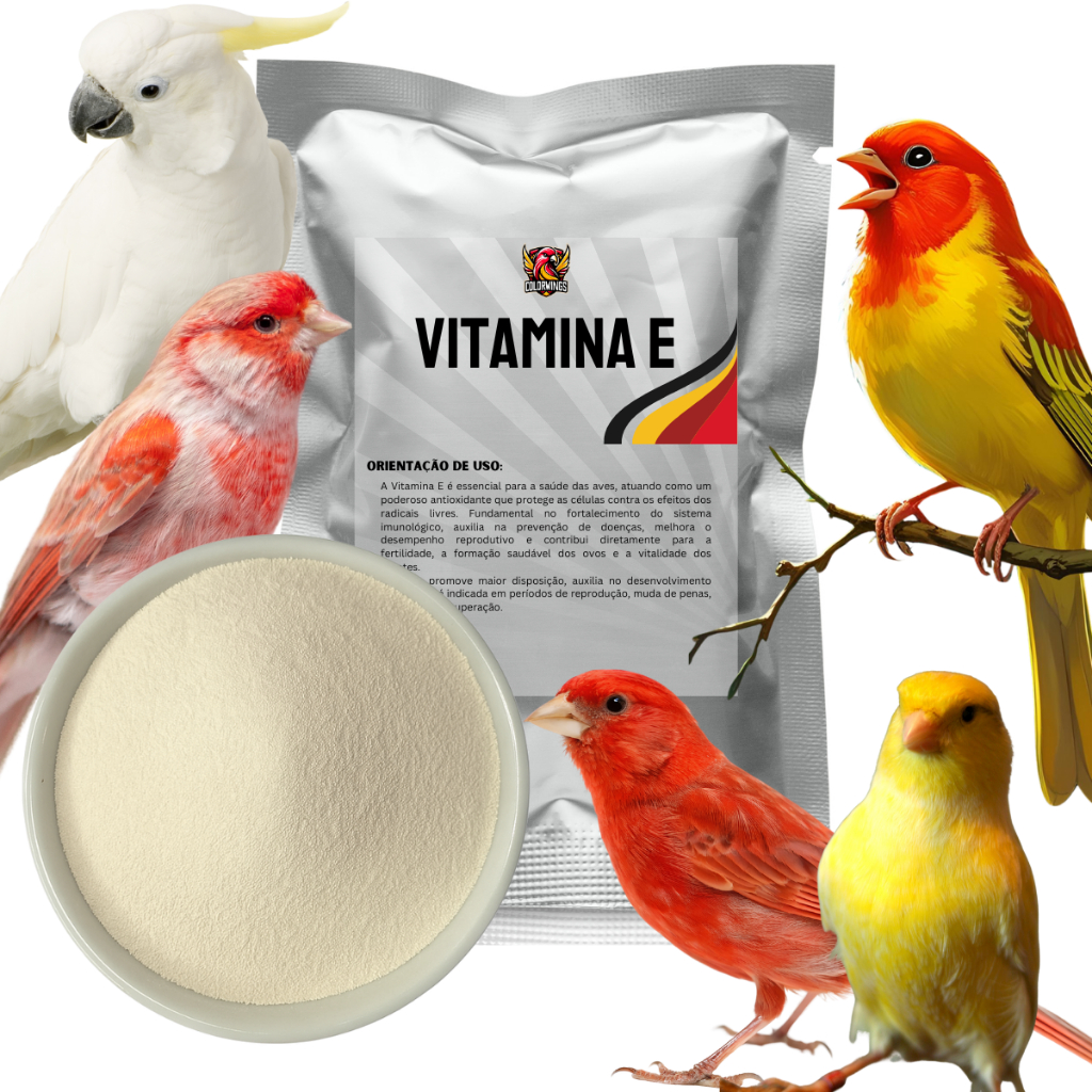 Vitamina E para Canários e Aves Ornamentais – Suplemento Natural ...