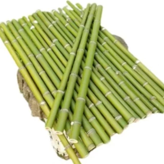 🌿 KIT COM 16 HASTES DE BAMBU PARA PLANTAS – ESCORAS, ESTACAS E MUITO MAIS