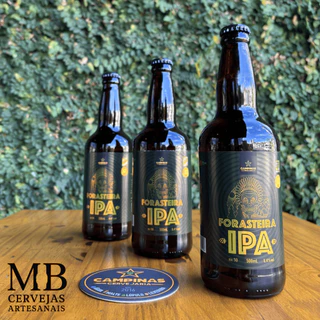 Cerveja Forasteira IPA Campinas 500ml (3un)
