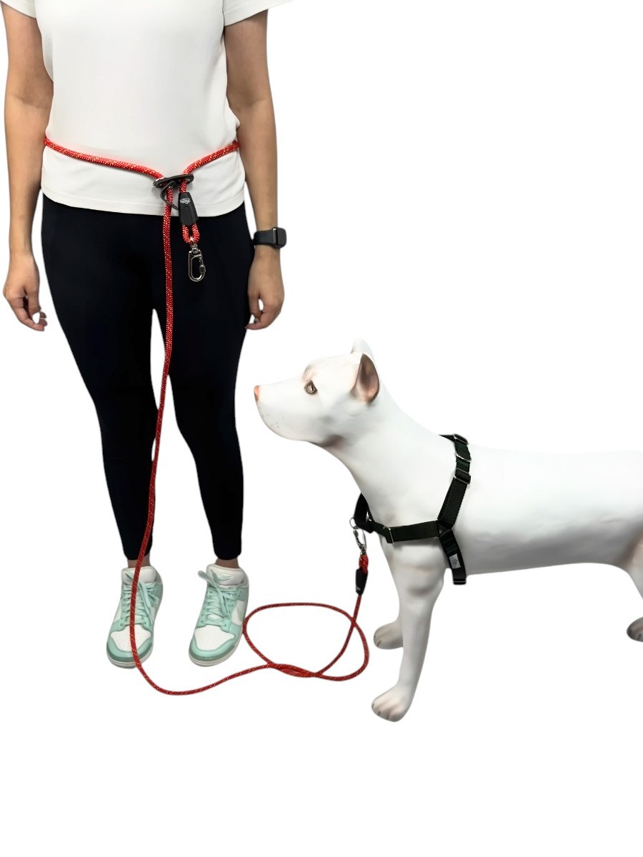 Guia Mãos Livres Para Corrida Com Cachorro Cintura Ajustável. | Shopee ...