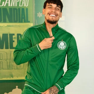 Agasalho Palmeiras Conjunto Jaqueta e Calça Turiassu Masculina