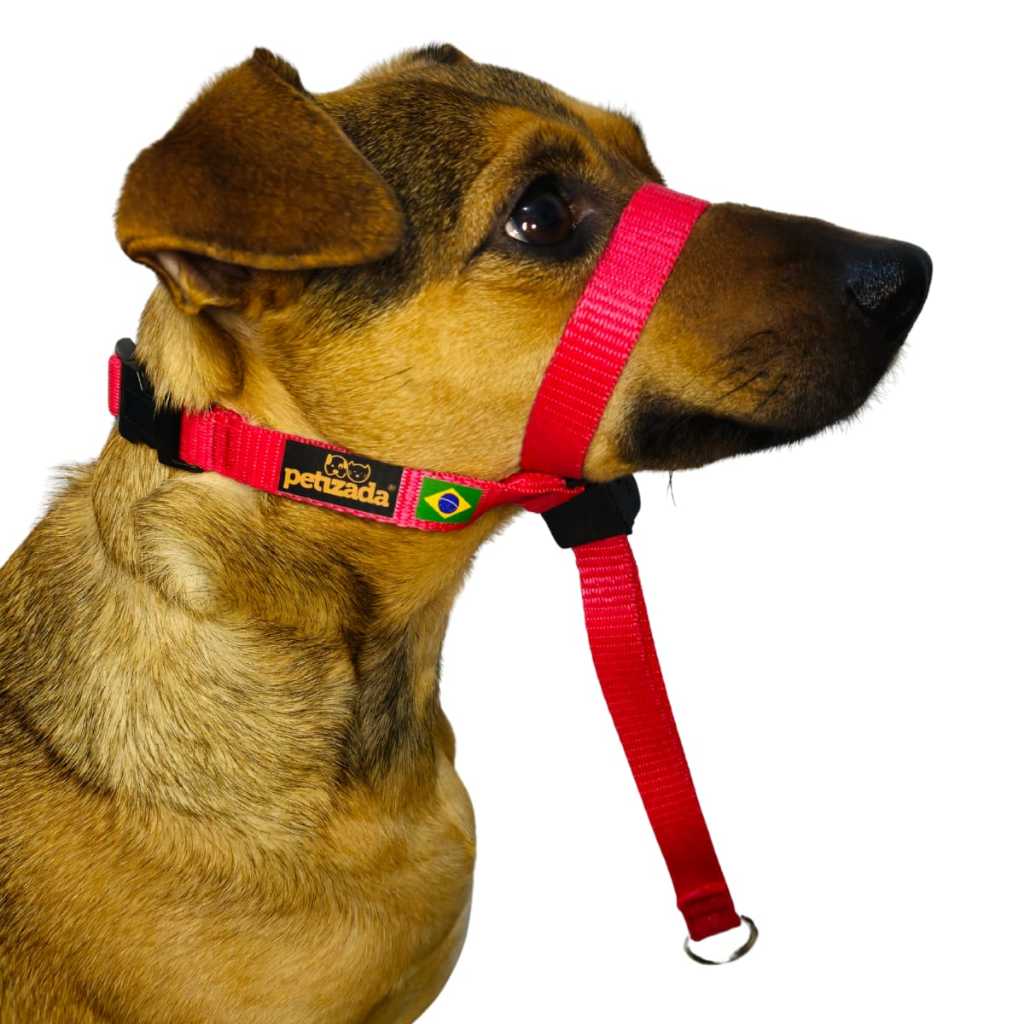 Coleira Cabresto Para Cachorro Com Guia Anti Puxão Adestramento ...