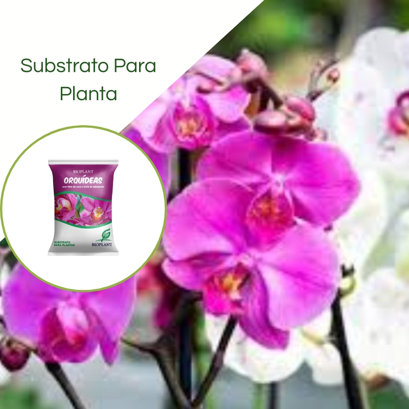 Bioplant Substrato Para Orquidea 10L | Shopee Brasil