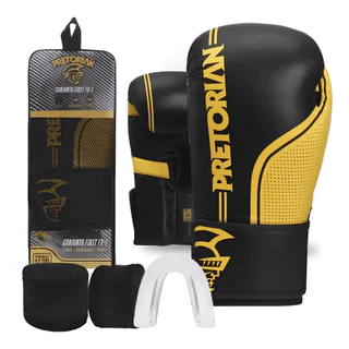 Conjunto Luva De Boxe Muay Thai Fx1 Bandagem + Bucal - Pretorian