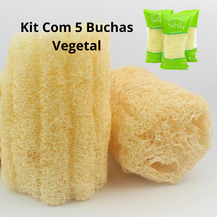 Kit 05 Bucha Vegetal Esponja Natural 100% Ecológica Embalada | Shopee ...