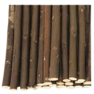 Kit 15 Gravetos (galhos) Naturais Madeira Artesanatos 10cm