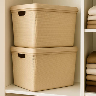 Kit 2 Caixa Organizadora com Tampa Grande Banheiro Cozinha 22 Litros
